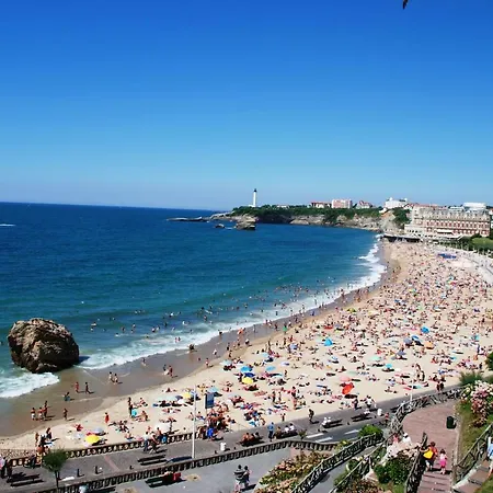 Apartamento Bellevue 766 *